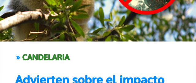 Advierten sobre el impacto ambiental de la pirotecnia sonora en la fauna silvestre